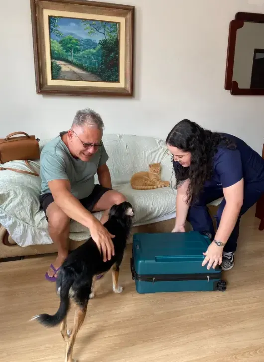 Imagem de atendimento domiciliar com gato e um cão presente na cena e duas pessoas.