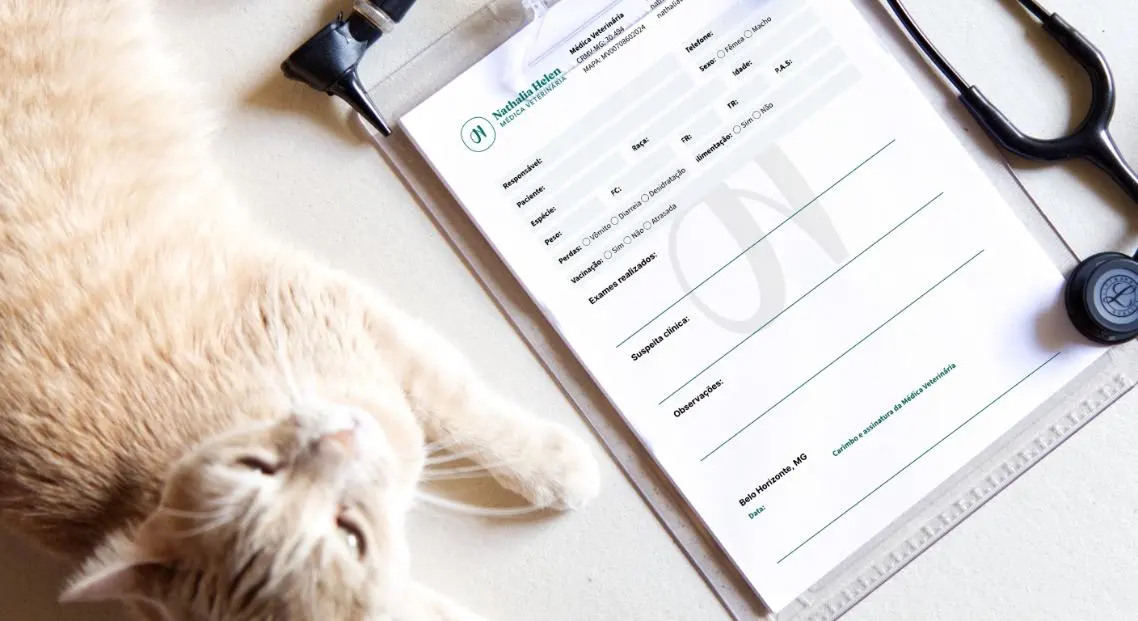 Avaliação clínica pré-operatória: serviço veterinário a domicílio