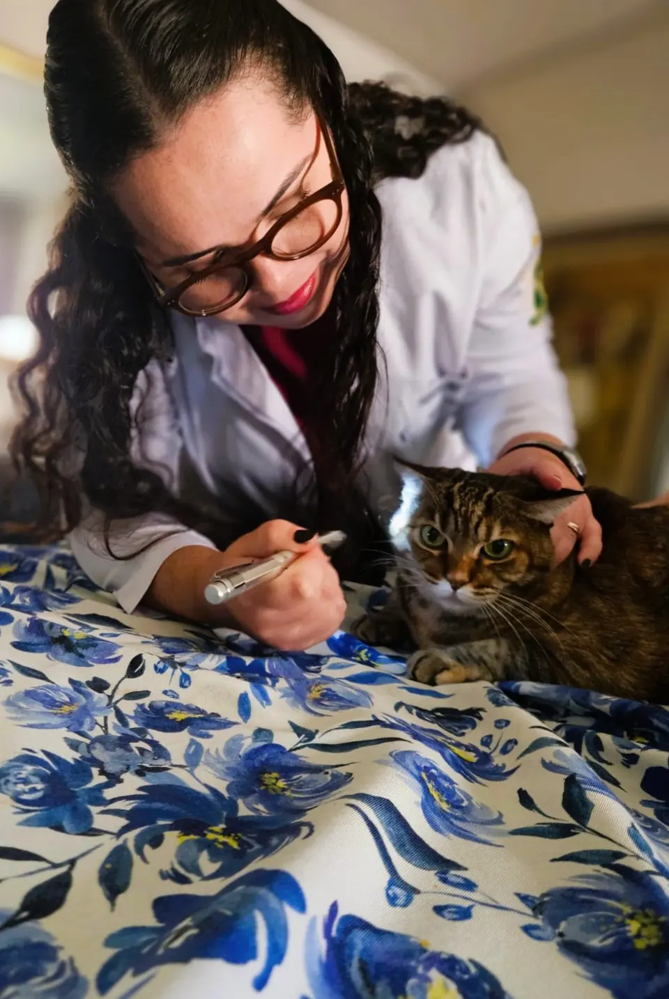 Dra. Nathalia Helen examinando um gato durante a consulta em casa