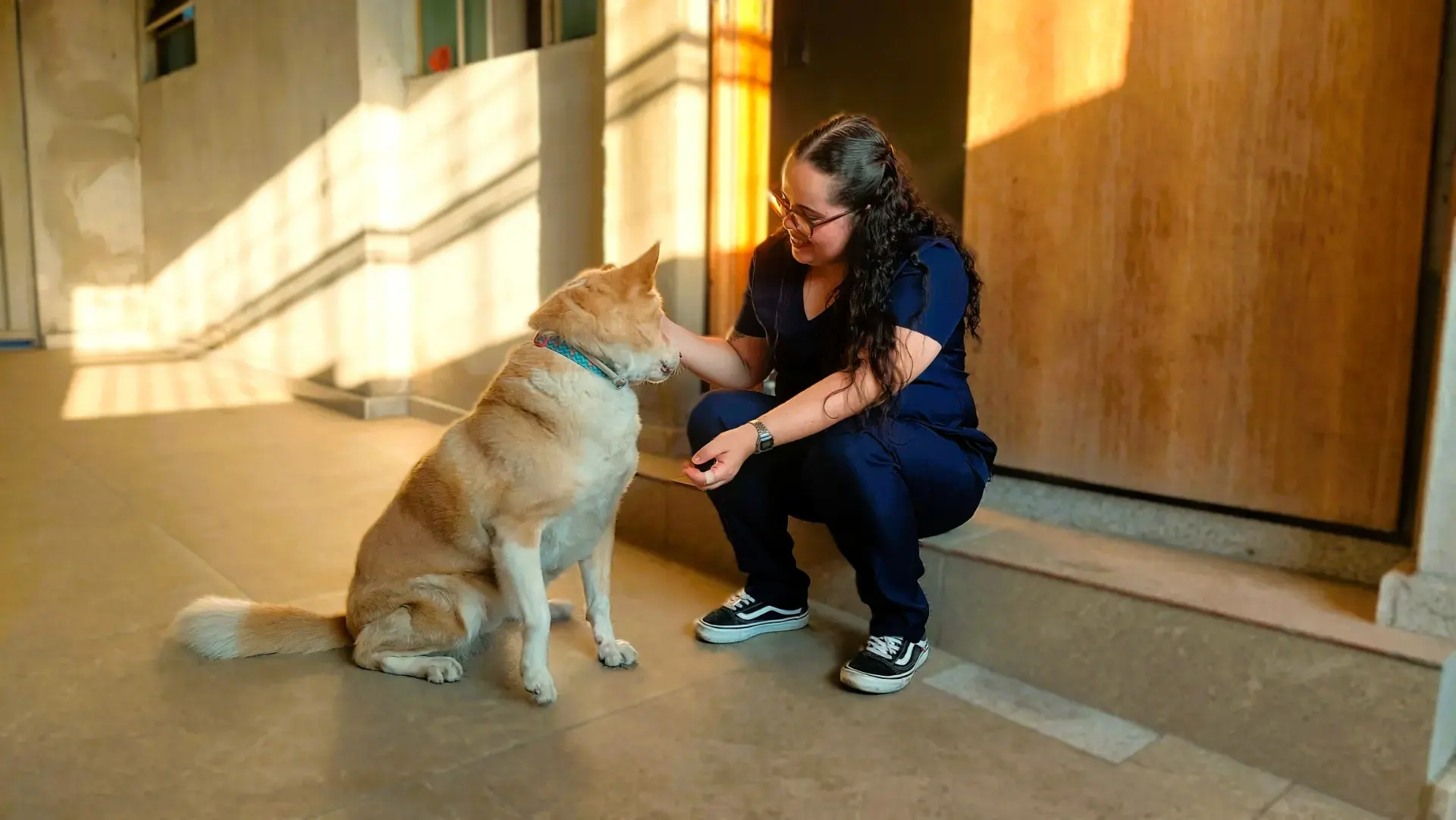 Dra. Nathalia Helen acariciando um cachorro durante um atendimento em casa