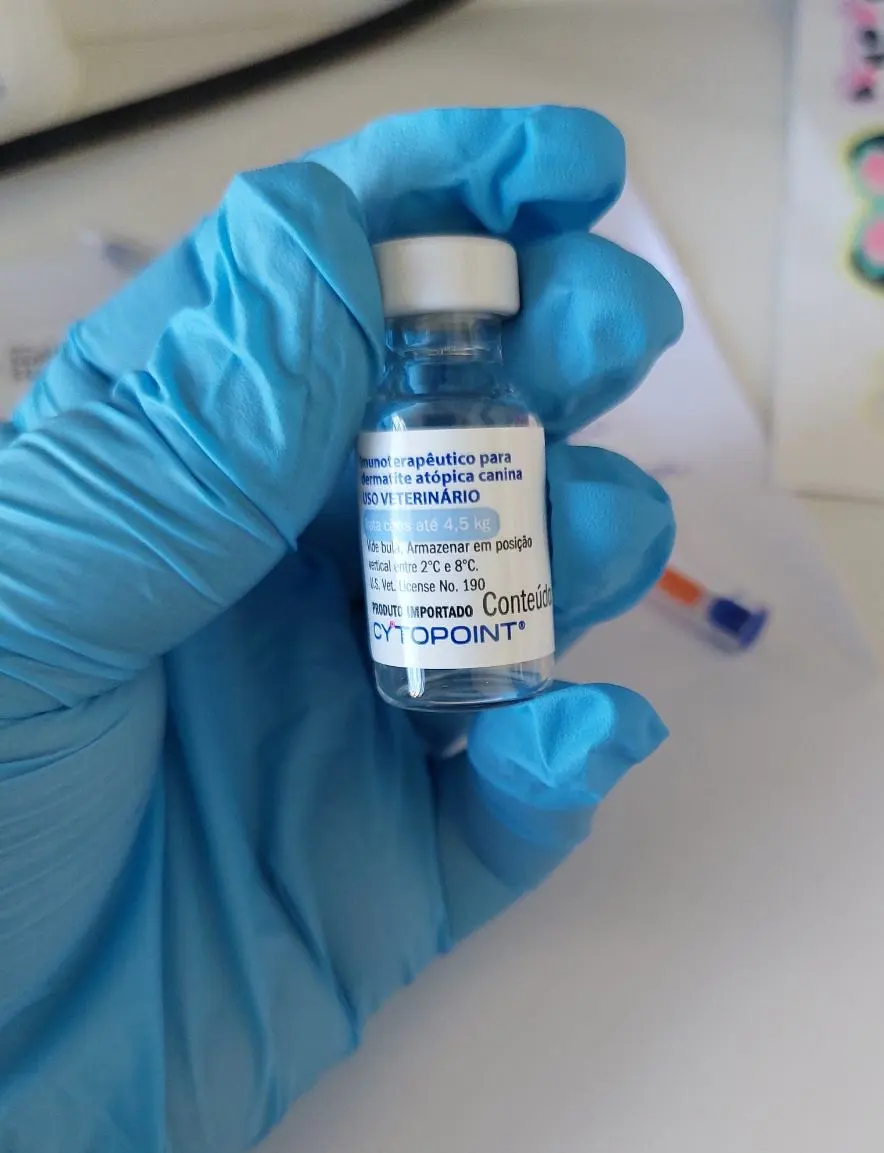 Aplicação de medicações injetáveis: serviço veterinário a domicílio