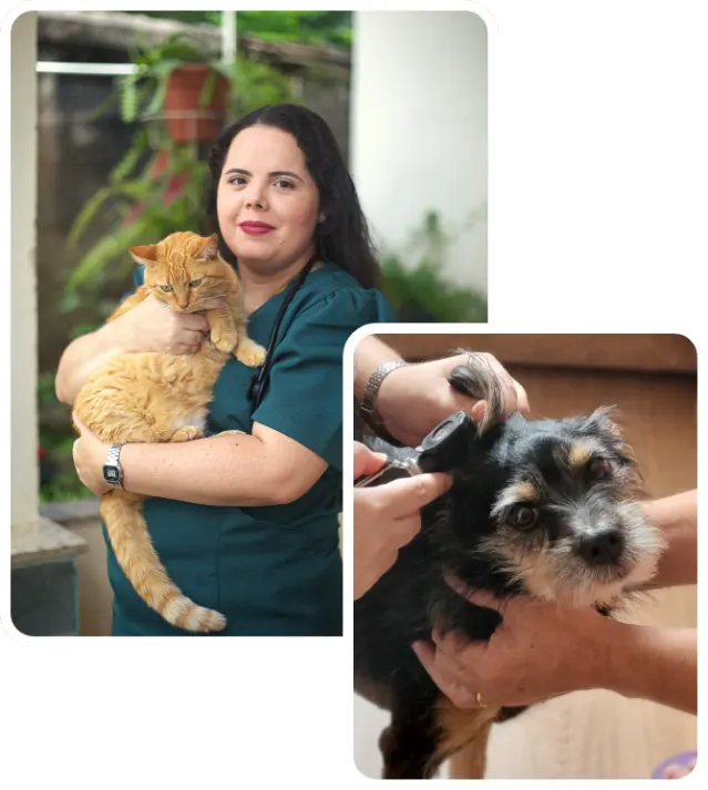 Dra. Nathalia Helen fazendo atendimento a domicilio em BH