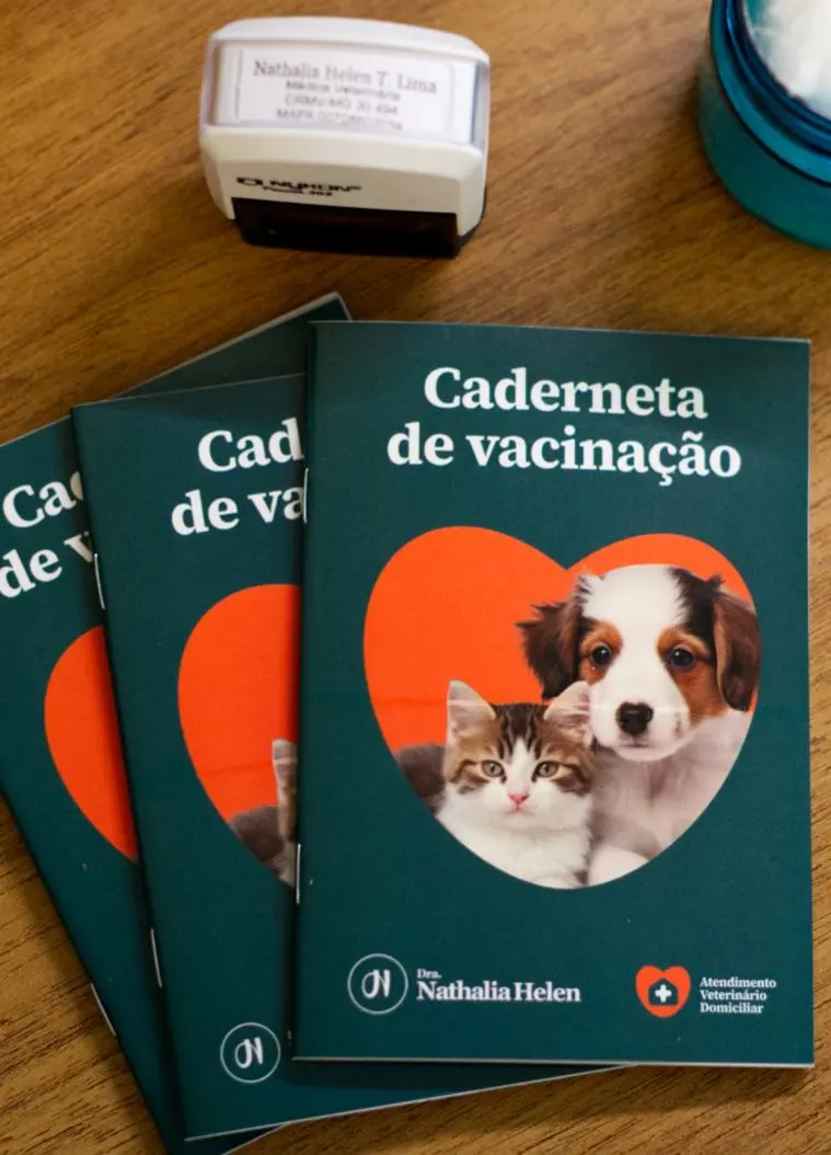 Consulta de protocolo vacinal: serviço veterinário a domicílio