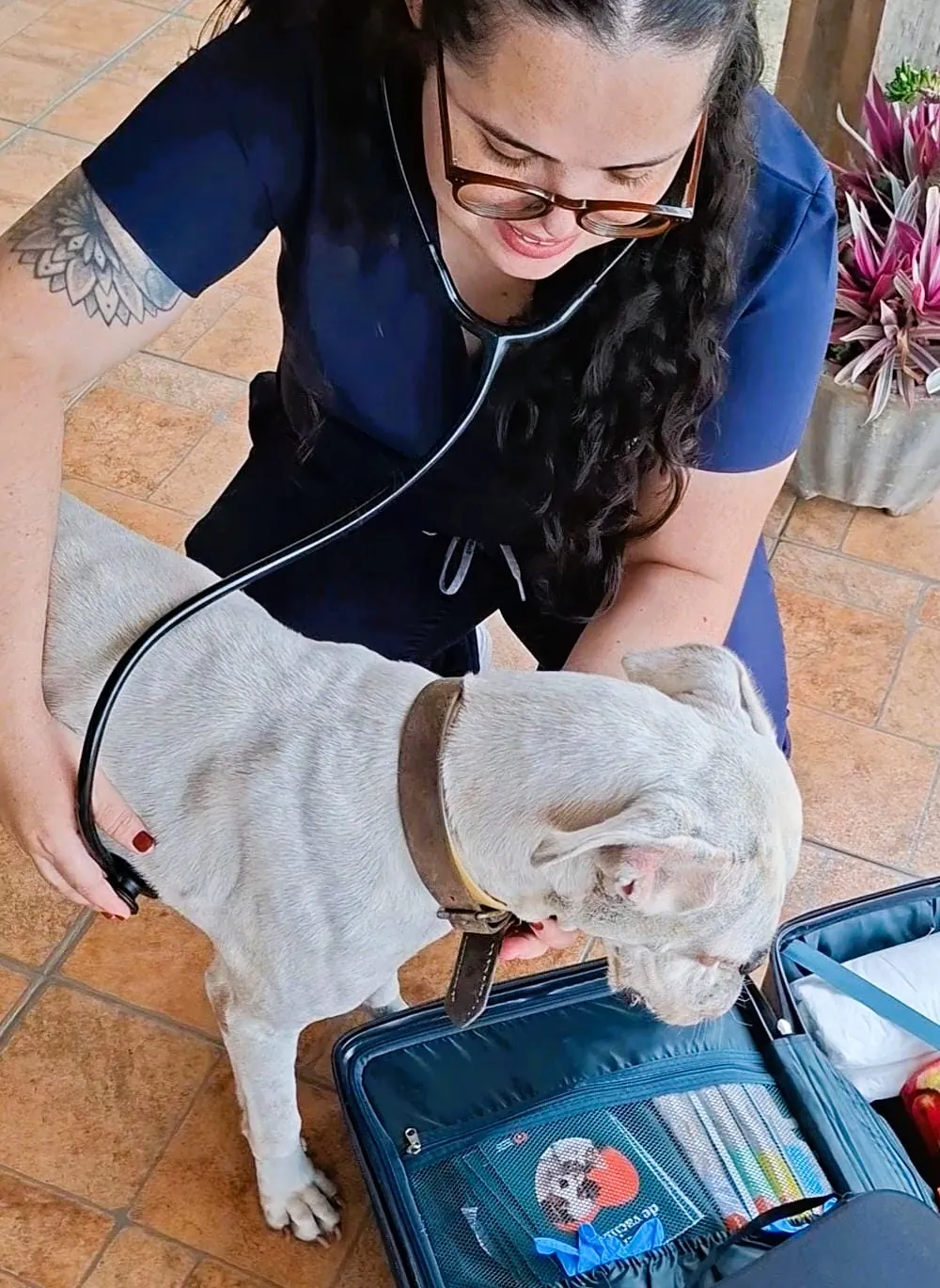 Dra. Nathalia Helen examinando um cão em casa